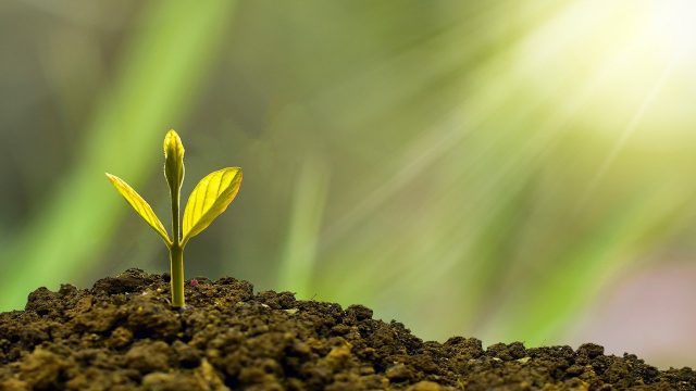 Investissement immobilier
