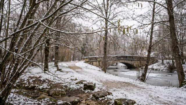découvrez le parc pertusier à morteau se réveillant sous un magnifique manteau de neige en cette fin mars, une atmosphère hivernale unique à savourer.