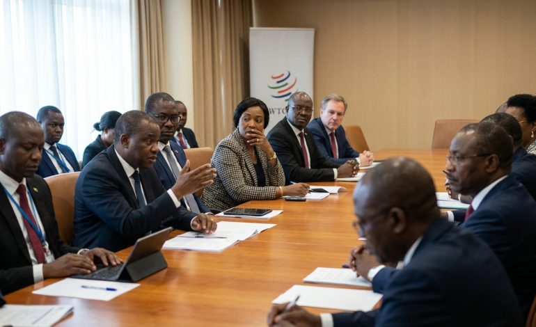analyse des défis des négociations à l'omc à yaoundé et les enjeux liés à la fin prochaine du moratoire sur le commerce électronique.