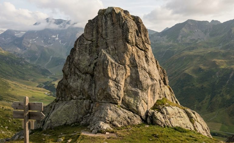 Roche reste stable suite à la publication de ses résultats trimestriels