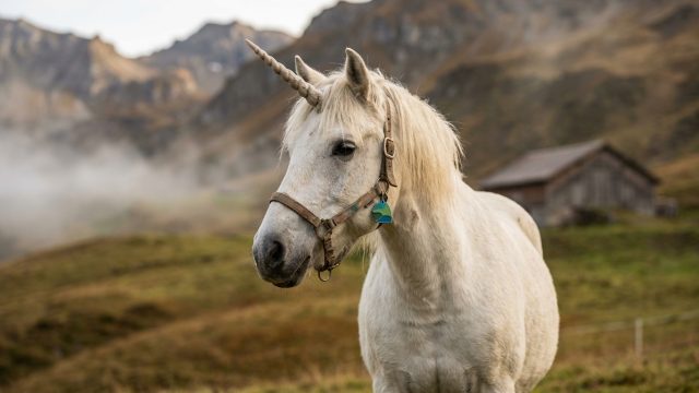 découvrez morpho, la première licorne de la finance décentralisée onchain, révolutionnant l'écosystème defi avec ses solutions innovantes et sécurisées.