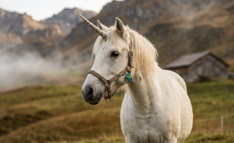 découvrez morpho, la première licorne de la finance décentralisée onchain, révolutionnant l'écosystème defi avec ses solutions innovantes et sécurisées.
