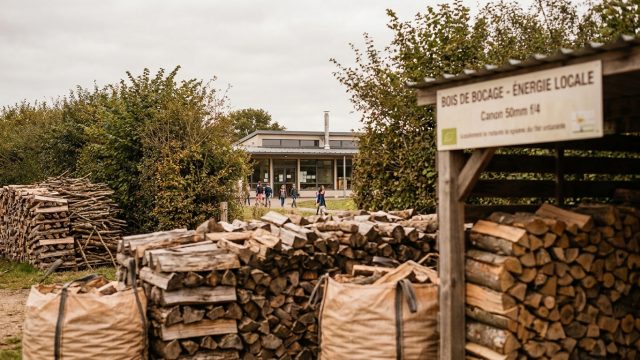 découvrez comment le bois des haies bocagères en suisse normande alimente durablement la cuisine centrale de 13 écoles, favorisant une gestion écologique locale.