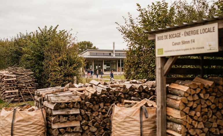 découvrez comment le bois des haies bocagères en suisse normande alimente durablement la cuisine centrale de 13 écoles, favorisant une gestion écologique locale.