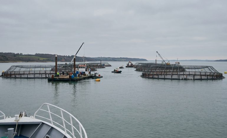 la construction d'une mégaferme à saumons en gironde approuvée par l’état suscite l'opposition de 10 ong qui dénoncent les impacts environnementaux et sociaux du projet.